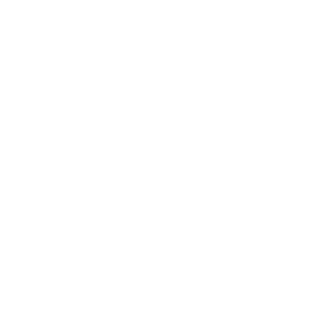 case-study-logo-castromediano-noovle